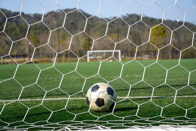 天津津门虎 天津津门虎