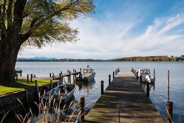 在本场比赛 在本场比赛