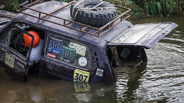 申京在攻防 申京在攻防