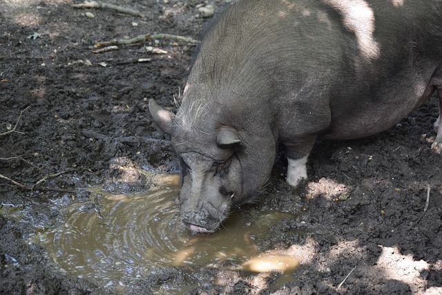 崛起的背景 崛起的背景