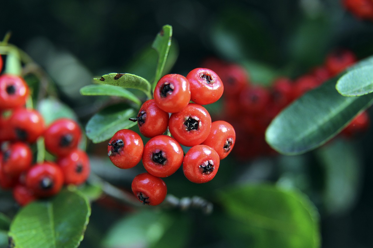 此次引援不 此次引援不